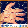 Anping Hexagonal Mesh / Poultry Netting / Chicken Wire (Factory)